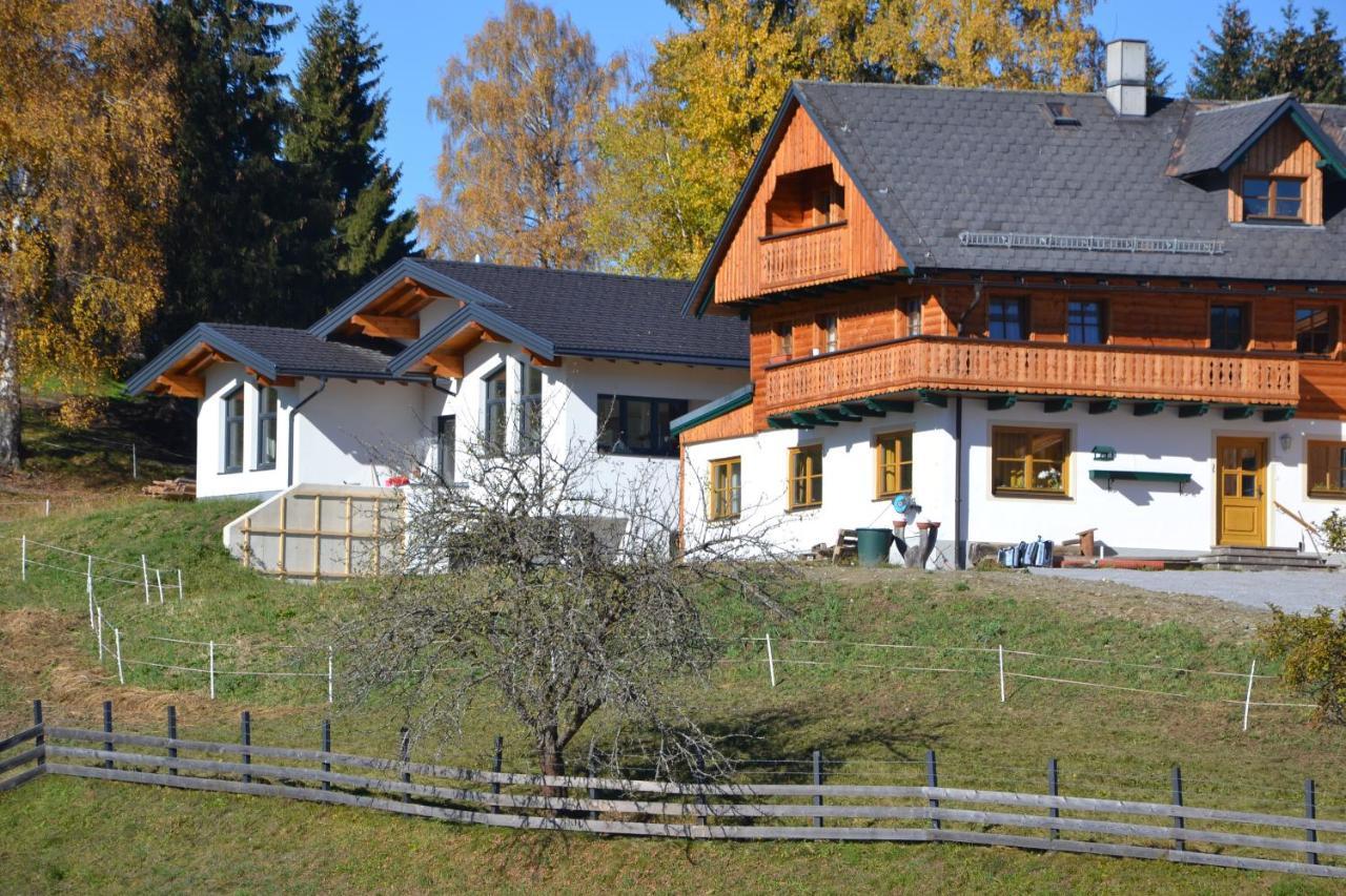 Appartement - Das Kleine Bleiberger By Schladmingurlaub Екстер'єр фото